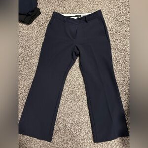 Ann Taylor Navy Blue Jayne Pants